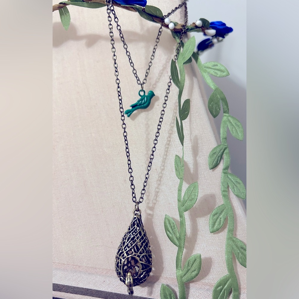 (ASO The Vampire Diaries) Double Strand Bird Necklace